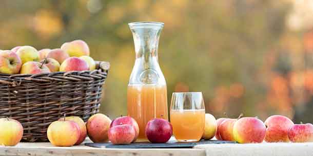 Fresh Cider and Apples From Grandview Orchard